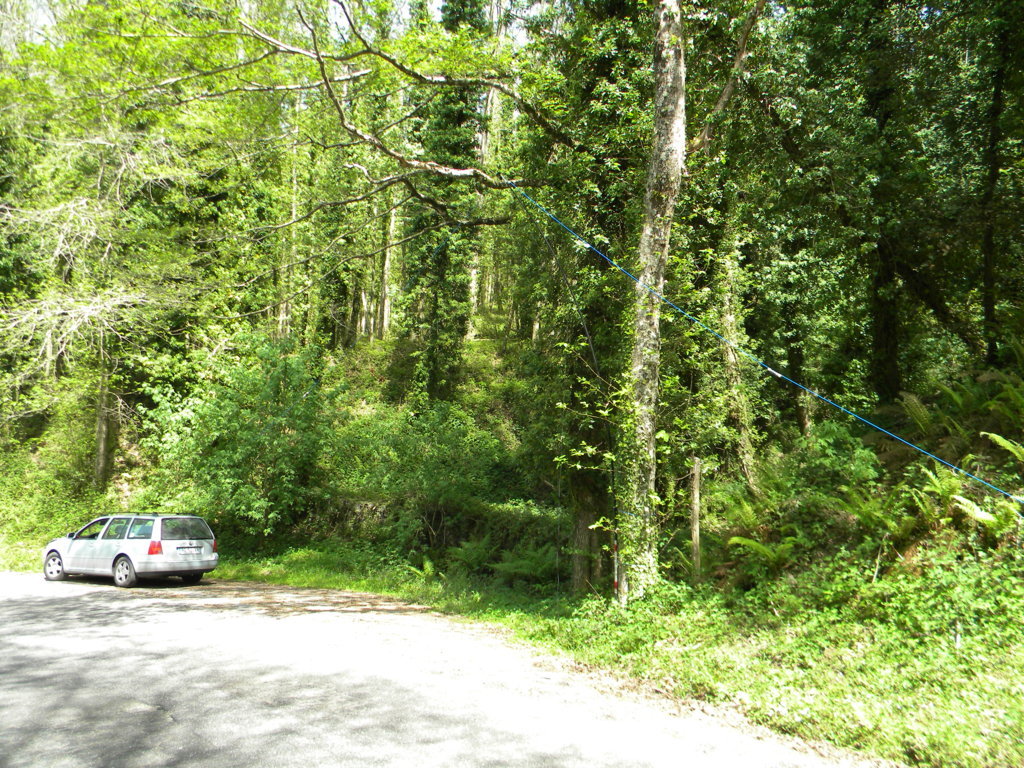 2015-05-06 14.38.38 .jpg